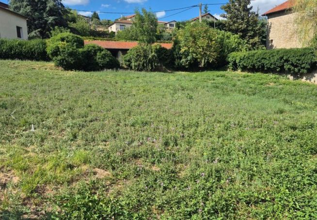 Vente de terrain constructible L'Horme (42)