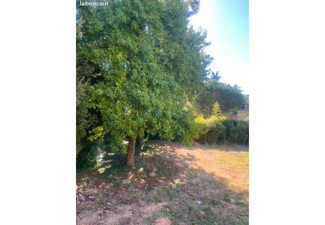 Vente de terrain constructible Limonest (69)